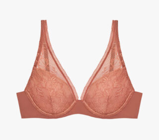 The Lace Plunge Bra