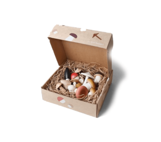 MoonPicnic forest mushrooms in a box